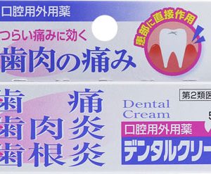 デンタルクリーム　5G