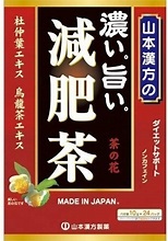 山本漢方製薬 濃い旨い減肥茶　２４包
