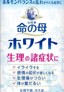 女性薬　命の母ホワイト 360錠
