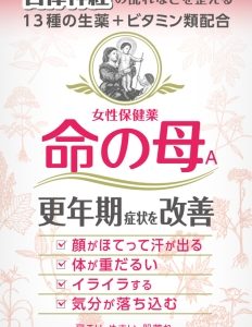 女性婦人薬　命の母A 840錠