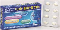 オムニン鼻炎カプセルＳ　３２カプセル