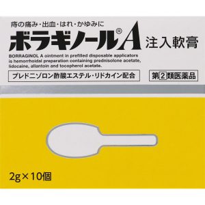 ボラギノールA注入軟膏 2gx10個