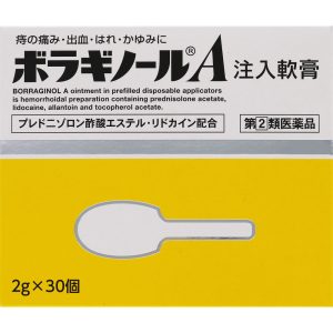 ボラギノールA注入軟膏 2gx30個