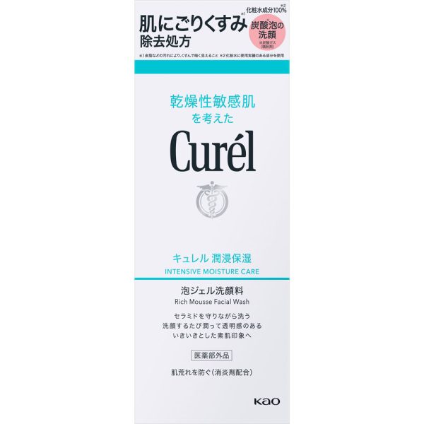 キュレル 潤浸保湿 泡ジェル洗顔料　２００g