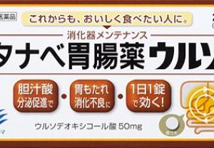 タナベ胃腸薬ウルソ　２０錠