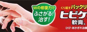 4987426003357 ヒビケア軟膏 40g
